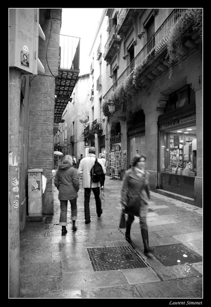 DSC 2025