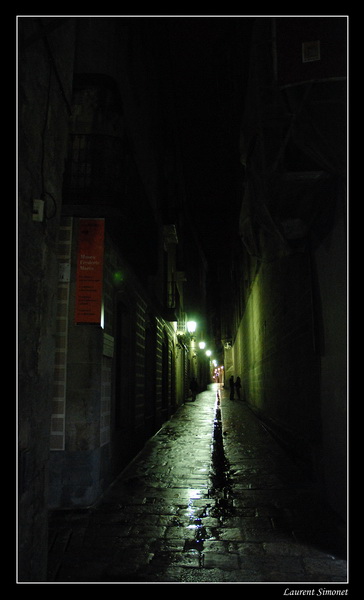 DSC 2140